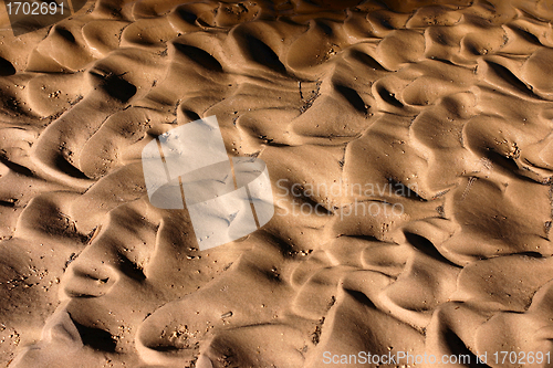 Image of Pattern in the sand in Corsica