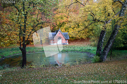 Image of Trees and forest in Denmark