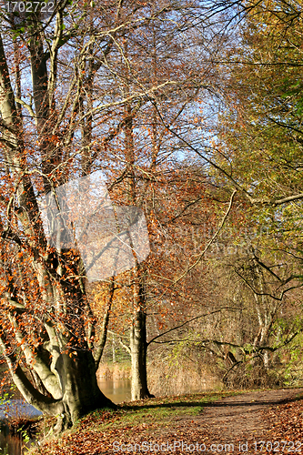 Image of danish landscape01