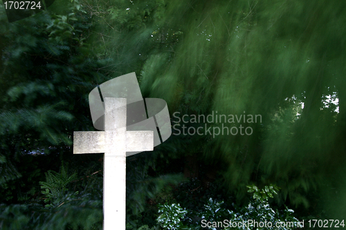 Image of cemetary