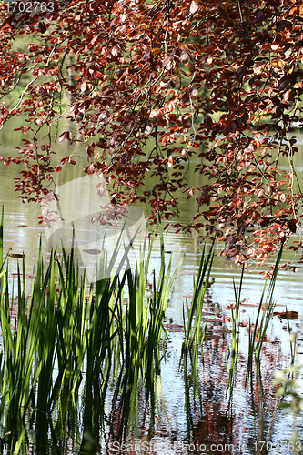 Image of lake