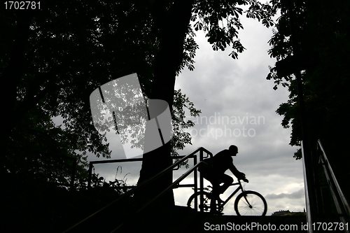 Image of copenhagen life