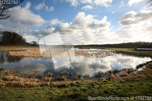 Image of lake forest