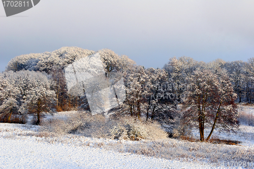 Image of winter