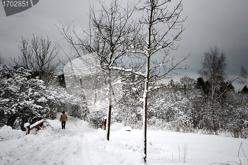 Image of snowy winter