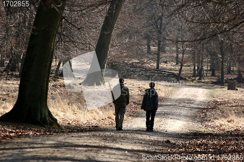 Image of  in the forest