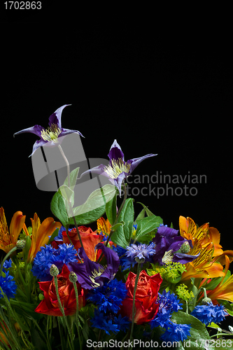 Image of Flowers