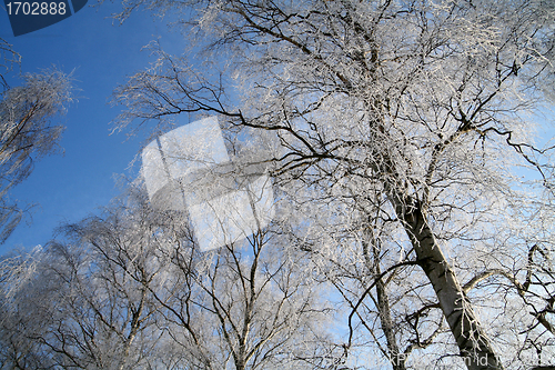 Image of winter in denmark