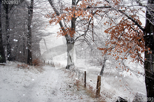Image of danish winter 