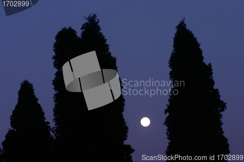 Image of rural denmark at night 
