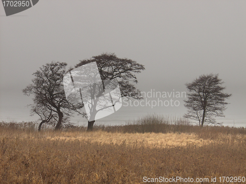 Image of  nature landscape