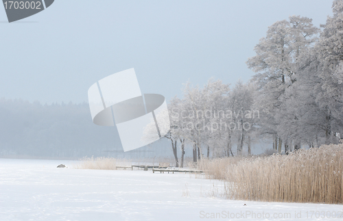 Image of winter in denmark