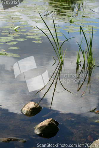 Image of lake stones