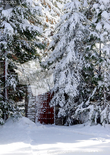 Image of Gate in a snow woods