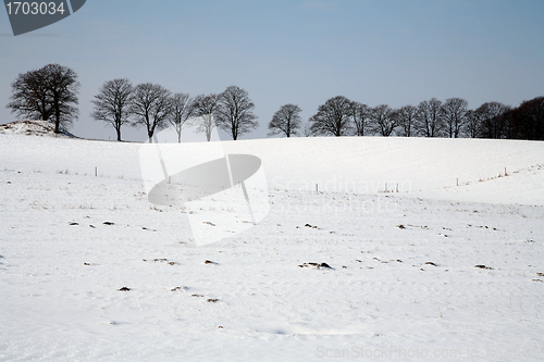 Image of snowy winter