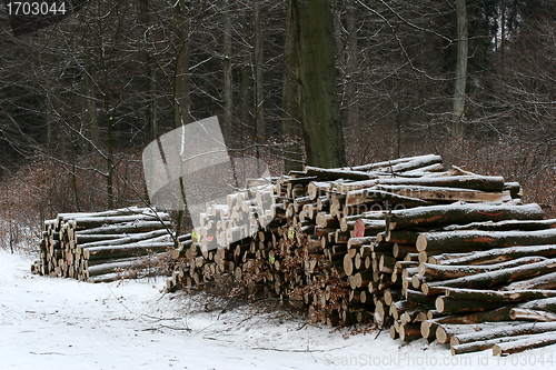 Image of winter in denmark