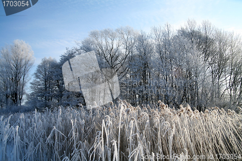 Image of winter in denmark