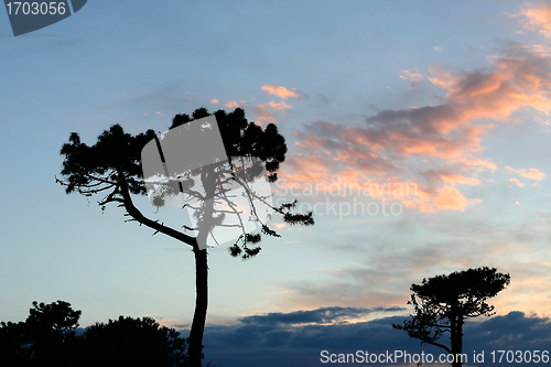 Image of Corsican sceneries