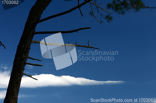 Image of Corsican sceneries