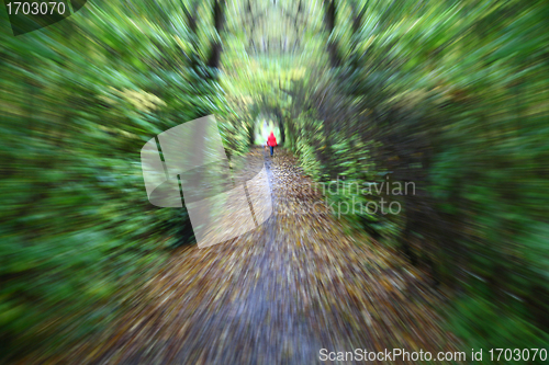 Image of green path