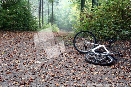 Image of bike accident