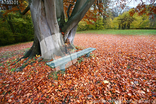 Image of bench