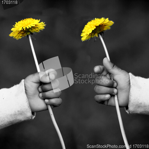 Image of dandelion child