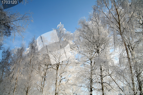 Image of winter in denmark