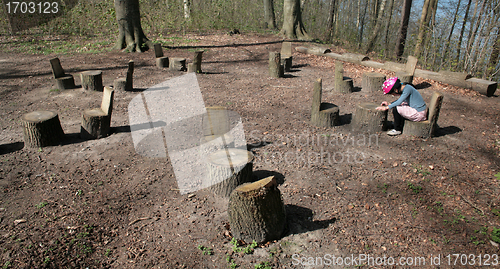 Image of Birkerød Eskemose skov i forår. Birkerød eskemose forest in spri