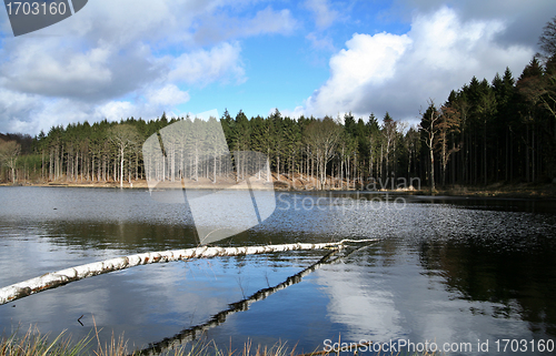 Image of trees and lake