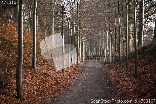 Image of alley