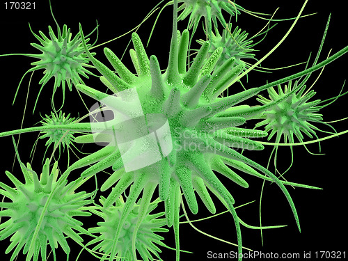 Image of 3d microbes #4