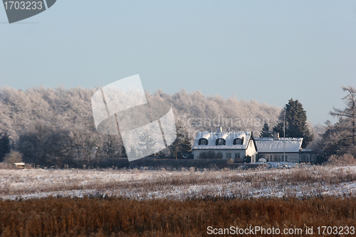 Image of winter in denmark