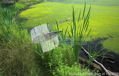 Image of lake