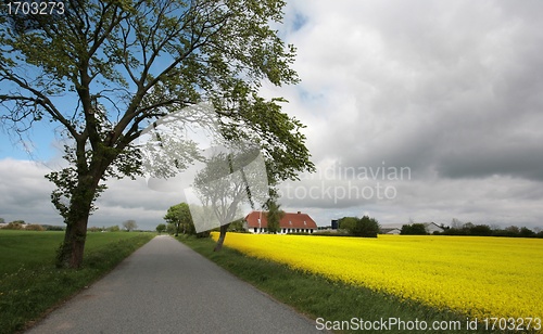 Image of danish landscape01