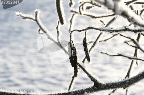 Image of snowy winter