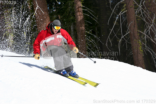 Image of Skier on a slope