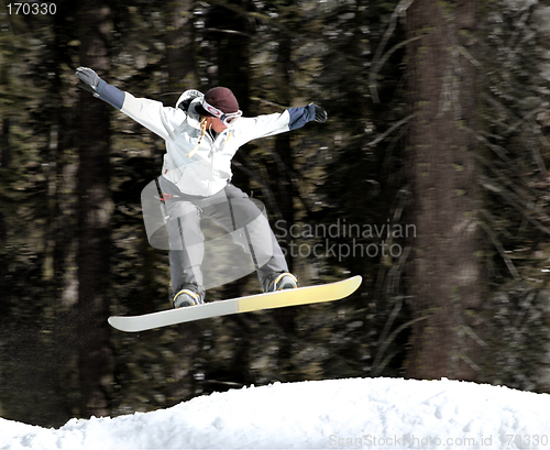 Image of Girl on a snowboard