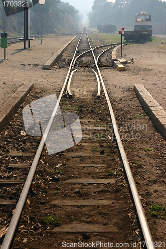 Image of Corsica: Train Calvi to Ile Rousse