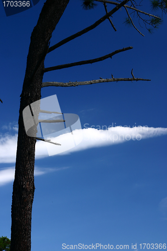 Image of Corsican sceneries