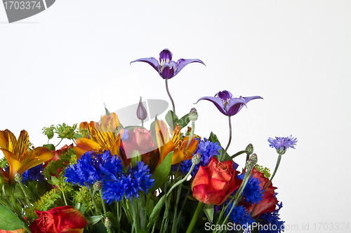 Image of Flowers