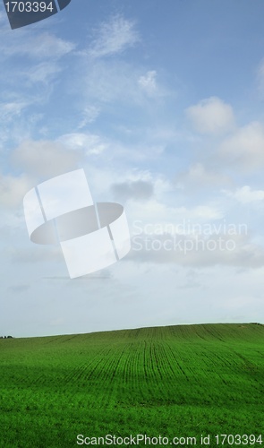 Image of Sky over green field