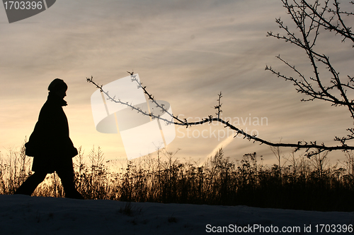 Image of snowy winter