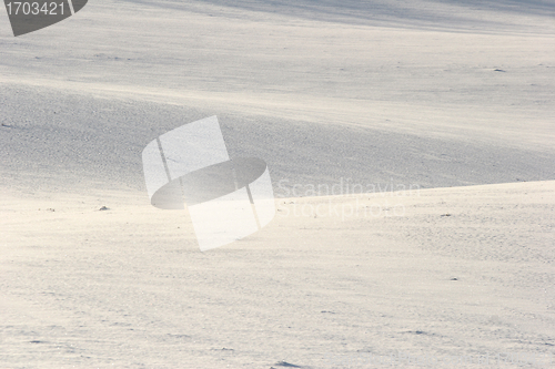 Image of snowy winter