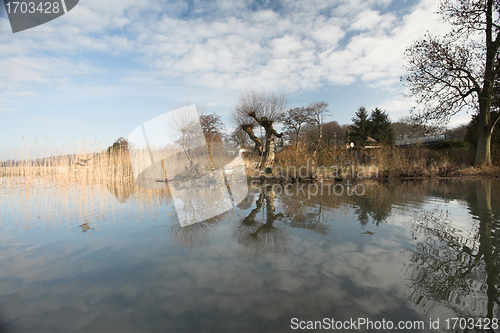 Image of lake forest
