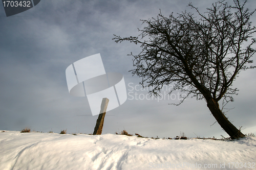 Image of snowy winter
