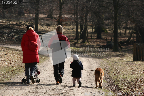 Image of dog walk