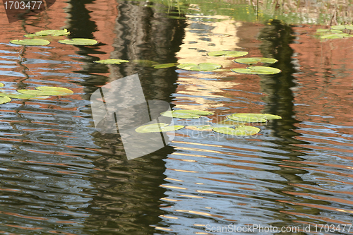 Image of lake