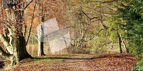 Image of danish landscape01