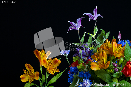 Image of Flowers